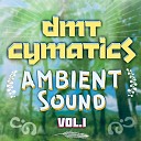 DMT Cymatics - Om Seed of Creation
