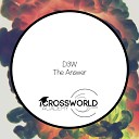 D3W - The Answer Original Mix