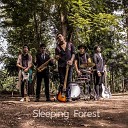 Sleeping Forest - Unknown