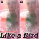 Marten Jansen - Like a Bird