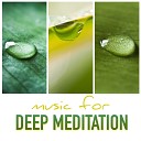 Music for Deep Relaxation Meditation Academy - Flowing Waters White Noise