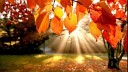Осень - Осенний блюз