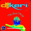 DJ Keri - The Little Things Audiotoxin Prototype Remix