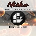 Nisko - What You Want Original Mix
