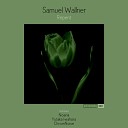 Samuel Wallner - Wounded ChromNoise Remix