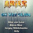 Alex van Love feat Alena Nice - На мокрых стеклах Aries Remix