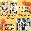 Los Tremendos Gavilanes - Mis Pasos Andaras