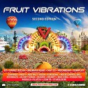 Abstract Vision Elite Electronic - Excalibur Fruit Vibrations Mix Trance  Fruit Anthem…