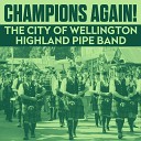 The City Of Wellington Highland Pipe Band - Medley Marching Stewart Chisholm Can t Help Falling In Love David Crosbie Miller Johnny With The Wooden Leg Leaving…