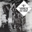 The Venus Fly Trap - Catalyst