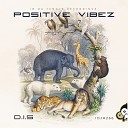 D I S - Positive Vibez