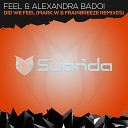 Dj Feel Alexandra Badoi - Did We Feel Mark W Remix