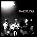 One Eyed Mule - From the Beats to the Bible