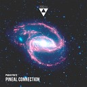 Paulo Foltz - Peace Original Mix