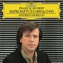 Andrei Gavrilov - Schubert 4 Impromptus Op 142 D 935 No 1 in F Minor Allegro…