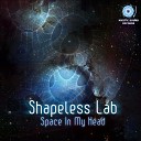 Shapeless Lab - Contemplation Of Life Original Mix
