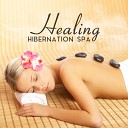 Spa Music Paradise - Healing Hibernation Spa