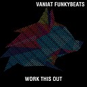 Vaniat Funkybeats - Work This Out Original Mix