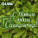 Q Labs - С Новым годом…