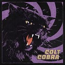 Colt Cobra - Fuck the Corporate World