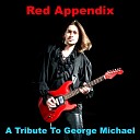 Red Appendix - Spinning The Wheel