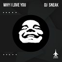 DJ Sneak - Why I Love You Live Dub