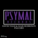David Ylias Liam Morrison - Placebo Original Mix