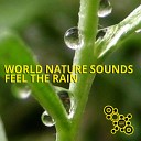 World Nature Sounds - Rain Sound in a Night of May