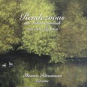 Thomas Hitzemann - Serenade No 13 in G Major K 525 Eine kleine Nachtmusik III Menuetto Allegro Arr for…