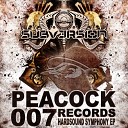 Dr Peacock Subversion - Fa Lium Original Mix