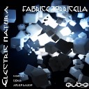 Fabrice Torricella - Electric Natura Original Mix
