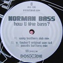 dj Decibel - norman bass how you like bass