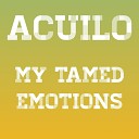 Acuilo - Dream About Travelling