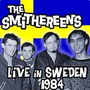 The Smithereens - Much Too Much Live