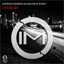 Anthony Romeno Sam Stray Wood - Tonight Original Mix