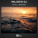 Mildew DJ - Still Water Original Mix