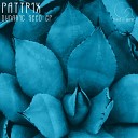 Pattrix - Dynamic Seed Original Mix
