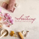 Relaxing Spa Music Soothing Music Collection - Pure Calm