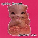Spider the Cat - Ask Questions Receive Answers