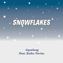 Aqualung - SNOWFLAKES
