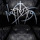 Nattesorg - Rest From Their Sorrow