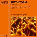 Vienna Symphonic Orchestra - Symphony No 5 in C Minor Op 67 I Allegro con…