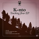 K Nto - The Flow Original Mix