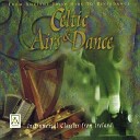 Celtic Orchestra - Down By the Sally Gardens