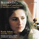 Polish National Radio Symphony Orchestra Antoni Wit Karin… - Violin Concerto in D Major Op 61 I Allegro ma non…