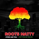Hydro Troj feat Lyrical Benjie - Roots Natty
