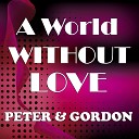 Peter Gordon - A World Without Love