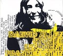 Daevid Allen - And His Adventures In The Land Of Flip alt…