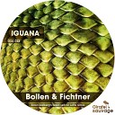 Bollen Fichtner - Iguana Soren Aalberg Remix