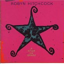Robyn Hitchcock - Adoration of the City